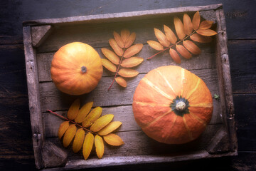 Orange pumpkin in a wooden box, autumn harvest for Halloween. autumn still life, atmospheric mood