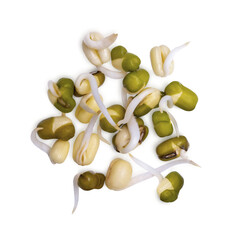 Healthy fresh bean sprouts isolated on transparent background (.PNG), top view.