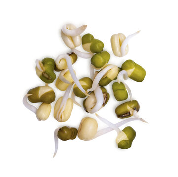 Healthy fresh bean sprouts isolated on transparent background (.PNG), top view.