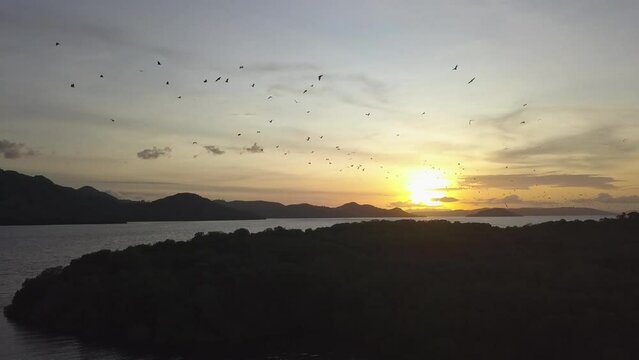 Evening spectacle of flying foxes close to Komodo Island, Indonesia