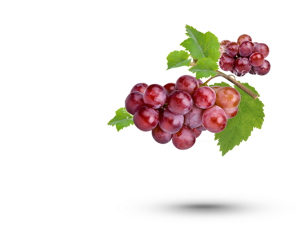 Water splash on fresh red grape with leaves isolated on transparent background. (.PNG)