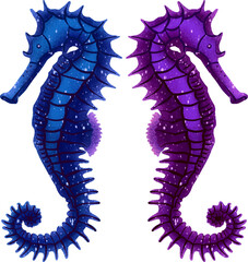 Illustration sea reptiles seahorse two types of digital