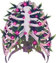 Illustration rib cage ribs with flowers leaves print anatomy