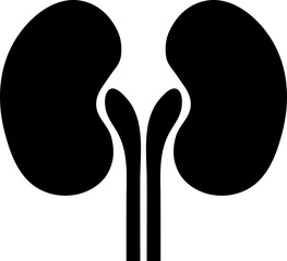 Kidneys icon. Vector. Flat design on white background..eps