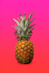 Ripe pineapple on pink background