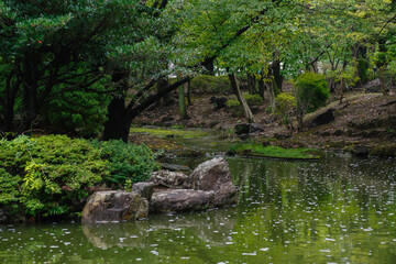 国会前庭の秋の風景