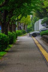 国会前庭の掃除の風景