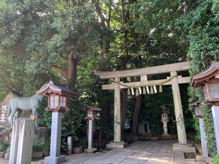 駒木諏訪神社の境内