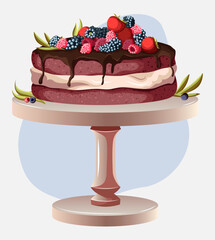 Vector illustration of red cake with chocolate and berries, cake stand isolated on white blue background. Bakeries, design, confectionery, cafe, print concept.