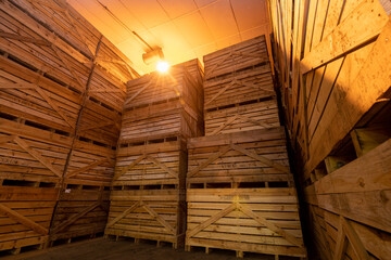 Empilement de pallox de pomme de terre en chambre froide. Variété Manitou (rouge du nord)