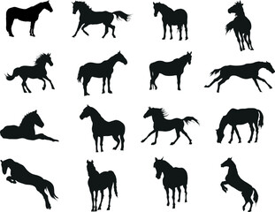 A vector collection of horse silhouettes for artwork compositions