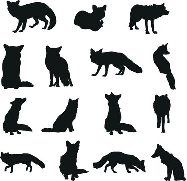 Vector Silhouette Collection of wolves for logos and artwork compositions