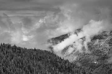 Dramatic winter landscape black and white. View of a snow-covered misty forest in mountains. Nature concept background.