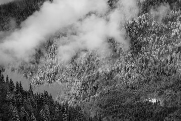 Dramatic winter landscape black and white. View of a snow-covered misty forest in mountains. Nature concept background.