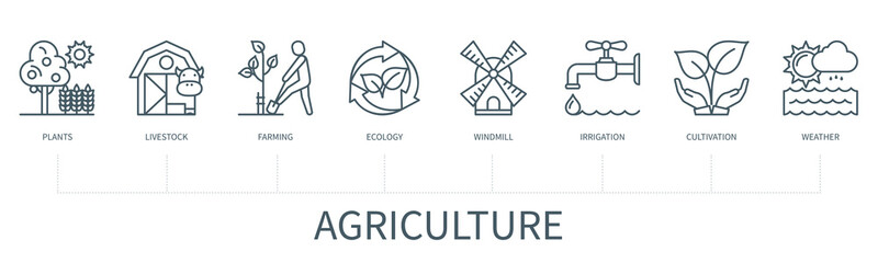 Agriculture vector infographic in minimal outline style