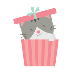 Gift Box With A Cute Cat