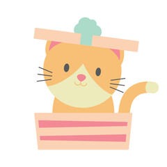 Orange Cat In A Gift Box