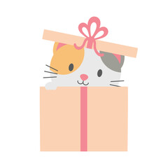 Cute Kitty Surprise Gift