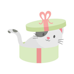White Gray Cat In A Round Gift Box