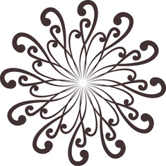 PNG flowers. Vintage floral elements Isolated botanical illustration for a wedding card.