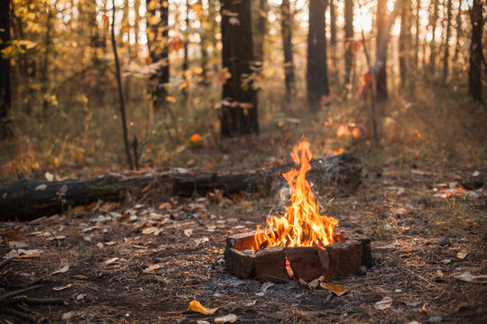 Bonfire fenced by bricks in the autumn forest at evening