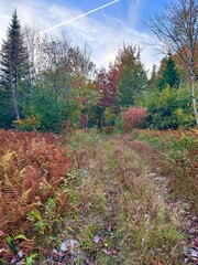 autumn in the mountains