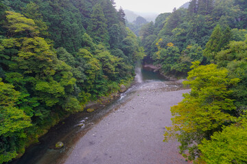 Fototapeta na wymiar Okutama, entrance area of trail hiking
