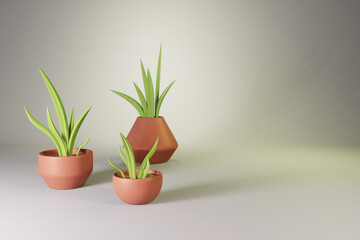 Green plants in clay pots. Horizontal banner with 3d render of aloe vera. Fresh juicy aloe vera in pots on a white background with space for text to create designs, posters and banners
