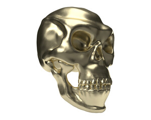 3D Isolated Human Skull on White Background.