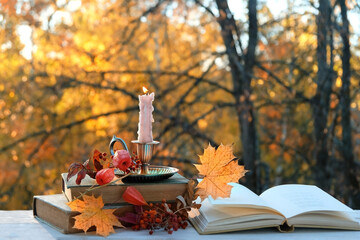 Naklejka na ściany i meble Autumn composition with candlestick, dry leaves and old books on wooden table in garden, abstract natural background. harmony hygge mood, cosy scenery. Reading leisure.