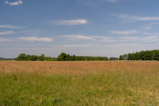 Field and Sky