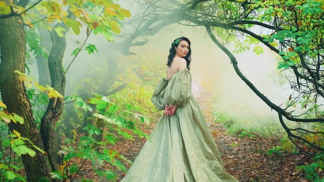 Queen fantasy woman walks in mystical autumn misty forest dark trees. Yellow foliage gothic trees mist fog. Princess girl back rear view looks around. vintage light green dress puffy sleeves long hem