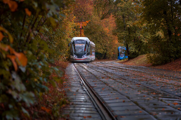 A modern-style tram goes out of a dense forest in autumn colors, Moscow, Russia