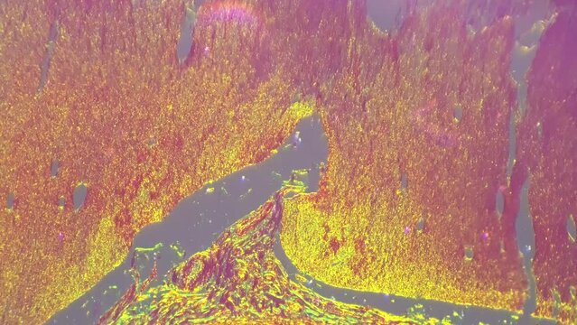 Smooth human muscle on isolated macro static image of under microscope 100x with oblique light. Tissues and fibers of people body parts. Athlete membranes in histology research. Internal structure