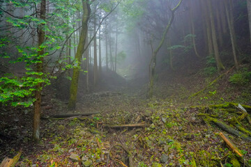 Obraz premium Akuba touge, Mount Mitake ,Nabewari, Okutama, Tokyo, Japan