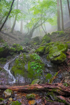 Akuba touge, Mount Mitake ,Nabewari, Okutama, Tokyo, Japan