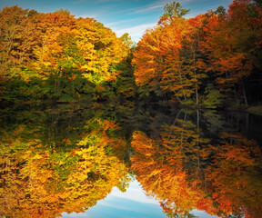 Autumn trees and reflection
