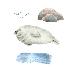 set of watercolor illustrations in nautical style on a white background, nature fur seal.