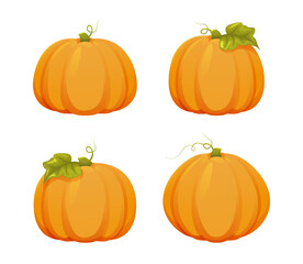 set of yellow large pumpkins