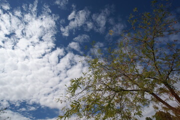 blue sky with clouds