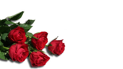 beautiful valentine red roses bouquet present isolated png