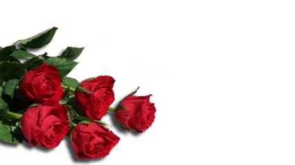 Tuinposter beautiful valentine red roses bouquet present isolated png © Stylecore