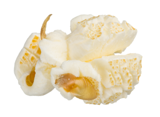 Single popcorn seed, macro shot isolated on transparent background as png clipart