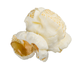 Single popcorn seed, macro shot isolated on transparent background as png clipart