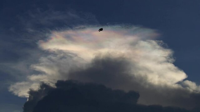 Beautiful iridescent cloud, Irisation. Skyscraper background.