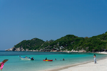 beach with trees and sea