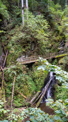 waterfall in the woods - lotenbachklamm canyon black forest hiking