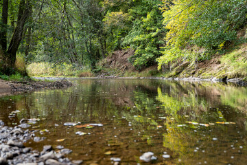 Fototapeta na wymiar river in the forest - Wutachschlucht