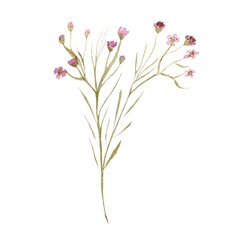 Cute and nice pink flowers watercolor illustration