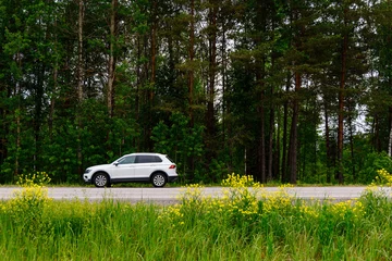White car stands on the side of the road against the background of green trees © dron285